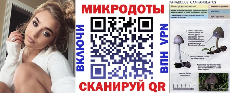 Галлюциногенные грибы MAGIC MUSHROOMS  закладка  Болотное 